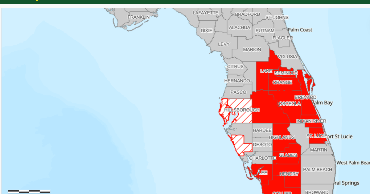 Central Florida burn bans still in place, despite a little rain