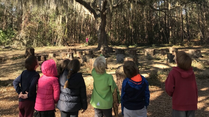 kids pointing to tree