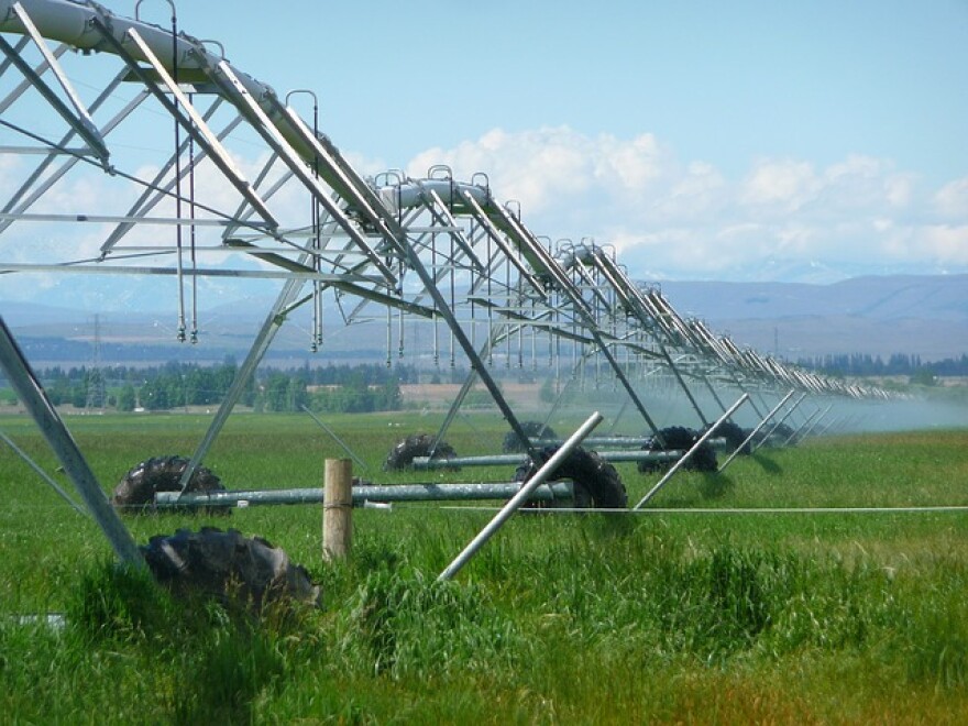 Irrigation sprinklers.