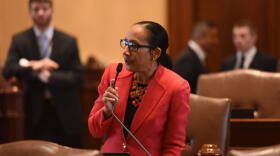 State Sen. Jacqueline Collins (D-Chicago), said she enlisted the help of her colleagues in the House and Senate Education Committees to hold a joint public hearing in Chicago, after a Tribune investigation uncovered cases of sexual abuse within CPS.