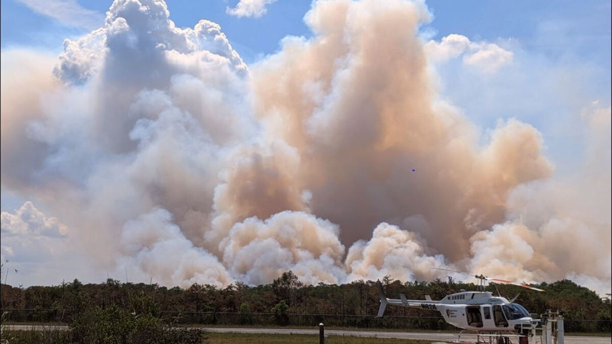 Western Everglades wildfire: flames moving southwest, roads and trails closing, evacuations drawing - Vimarsana News