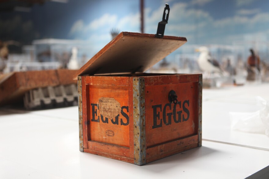 This box used for shipping eggs belonged to Donald Bleitz, an engineer, bird photographer and former director of the Los Angeles County Natural History Museum. The last shipping label on it dates to July 31, 1959. Eggs are still collected today, mostly for research.