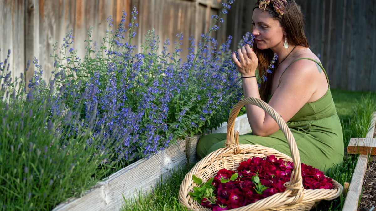A closer look at herbalism and why its finding new interest