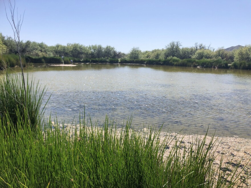 Quitobaquito Springs, inside the Organ Pipe Cactus National Monument, is listed by the United Nations as an international biosphere reserve.