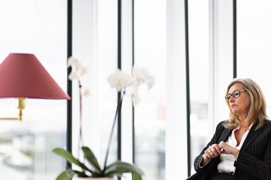 Dr. Alma D. Möller, Iceland's director of health, in her office in Reykjavík.