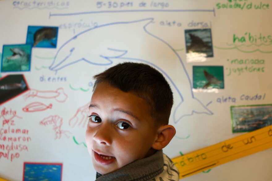Students learn about sea animals in both English and Spanish during Amador’s class.