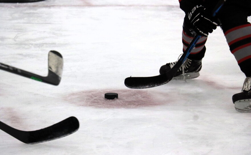 Mischa's Little Stars gives kids the chance to try hockey for the first time in Laconia, NH.