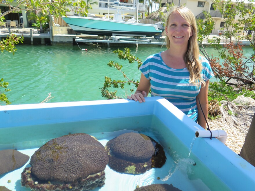 Erinn Muller is science director at the Mote Marine Lab in the Florida Keys.  She says the lab's work to raise healthy corals is a "beacon of hope" for profoundly damaged reefs.