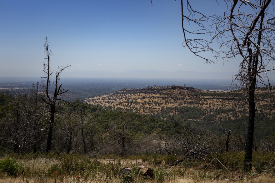 A view of the canyon in Magalia on Aug. 1. Only a handful of homes in nearby Paradise have been rebuilt since the Camp Fire in November 2018.