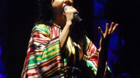 Björk performs live in 2007 at the United Palace in New York City.