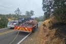 Fire officials say five small vegetation fires that sparked Thursday morning. Preliminary reports indicate the fires were sparked by a vehicle.