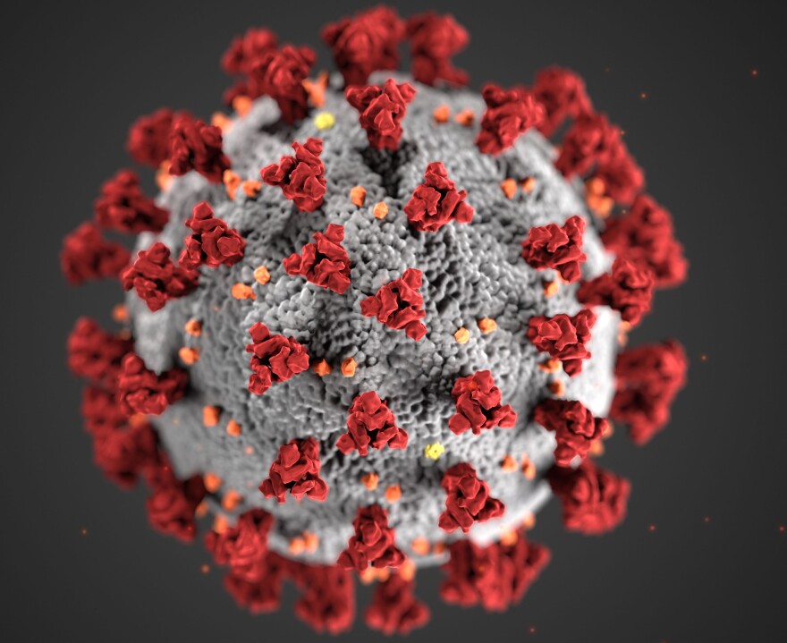 This illustration, created at the Centers for Disease Control and Prevention (CDC), reveals ultrastructural morphology exhibited by coronaviruses.