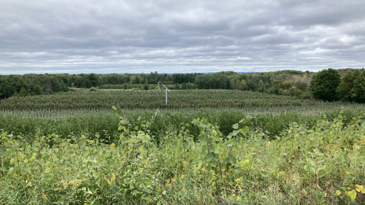 Two frost fans stand in a field of apple trees Sept. 28 at King Orchards.