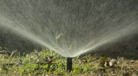 grass sprinkler hero