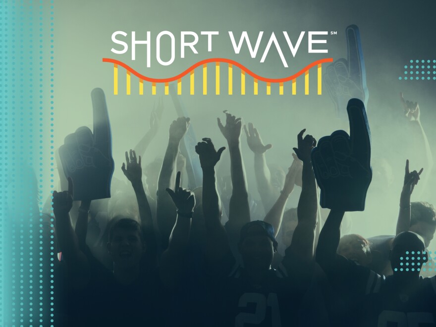 A recent study in the journal Proceedings of the National Academy of Sciences found that the rituals fans participate in around a sporting game can produce more emotional synchrony for those fans than much of the game itself.