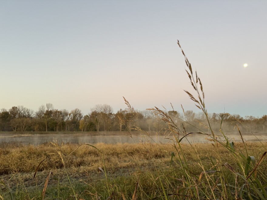 Fog rises from a pond at Missouri's Eagle Bluffs Conservation Area, with native grasses in the foreground.