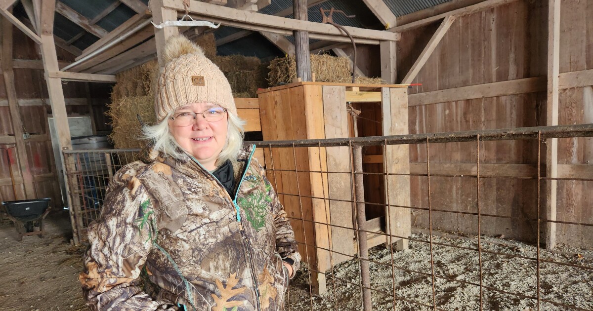 A tick bite made this rancher allergic to her own cattle. It's a worsening issue for farmers