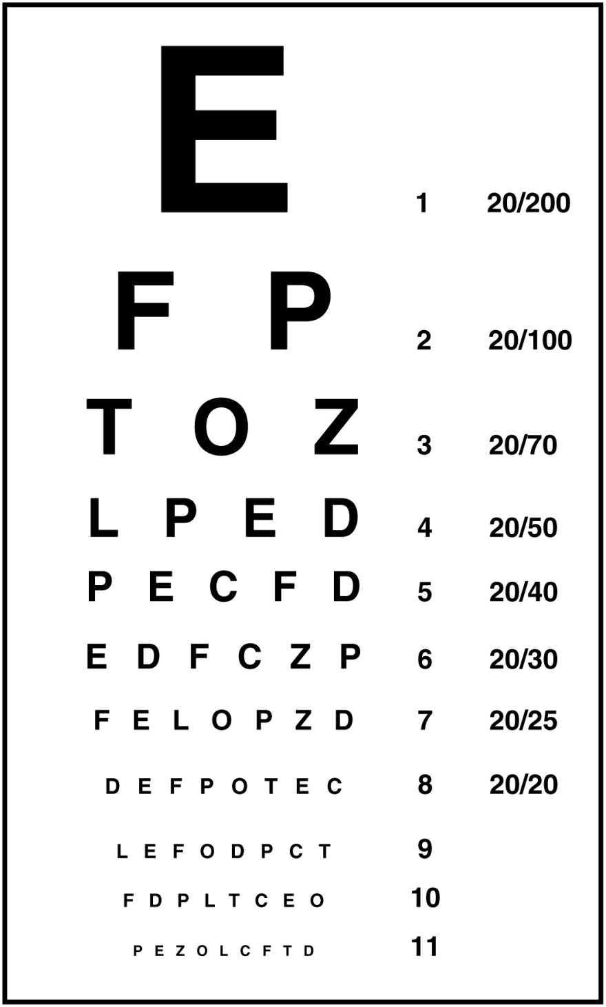 Wikimedia Commons