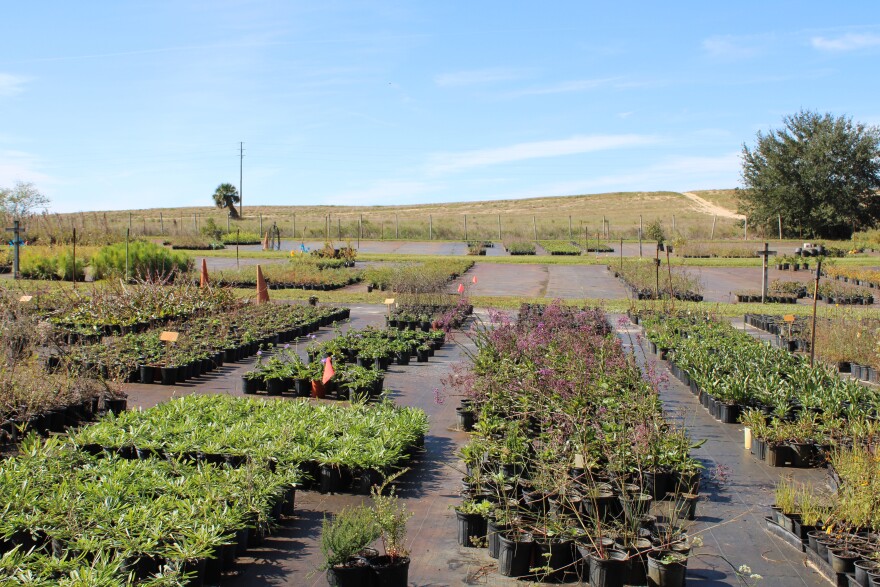 FDOT’s chosen corridor passes through the sandy hill adjacent to the Bissetts’ property, pictured here in the background.
