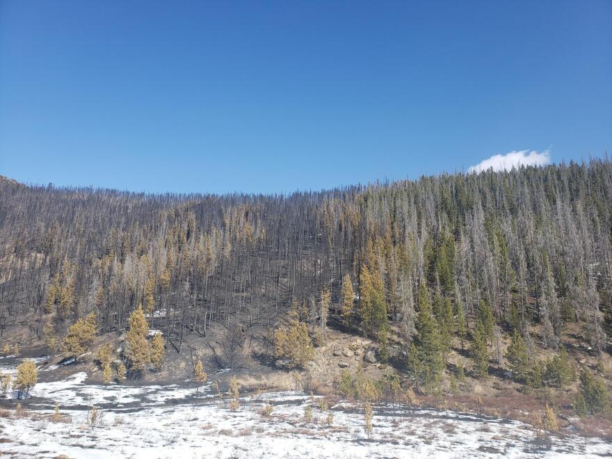 Photo of East Troublesome Fire burn area released Nov. 5, 2020.