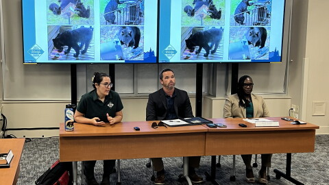 Ashley Hobbs, (left) a biologist with the N.C. Wildlife Resources Commission, makes a point about local bear problems during a Sept. 15 briefing for the Buncombe County Board of Commissioners. Also shown are county Solid Waste Director Dane Pederson, center, and County Manager Avril Pinder.