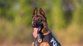 Thief River Falls Police Department K-9 Max served the department since 2017 before his unexpected death on Feb. 29, 2024.