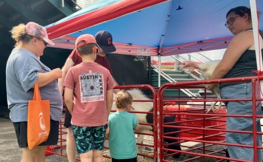 August Miller, in blue, approaches a sheep at the carnival's petting zoo. 