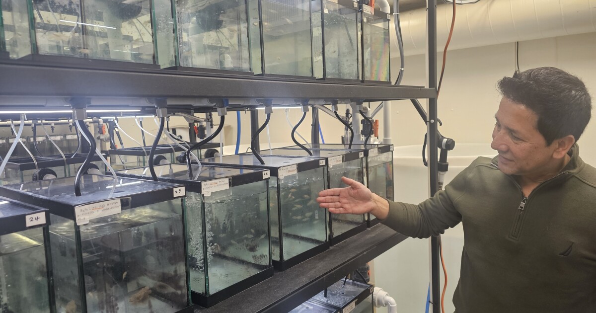 Study: Vitamin C may help protect fertility from chemical exposure