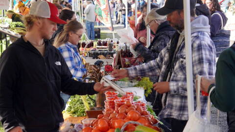 Attendees browse booths filled with fruits and vegetables during the Harvest Moon Local Food Festival at Soldotna Creek Park in Soldotna, Alaska, on Saturday, Sept. 26, 2026.