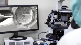 A researcher looks into a microscope while fertilizing an egg.