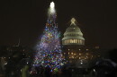 The U.S. Capitol Christmas Tree is lit up during a ceremony on the West Front of the Capitol in Washington, Tuesday, Dec. 6, 2016. The Capitol Christmas Tree is an 80-foot Engelmann Spruce from the Payette National Forest in Idaho.