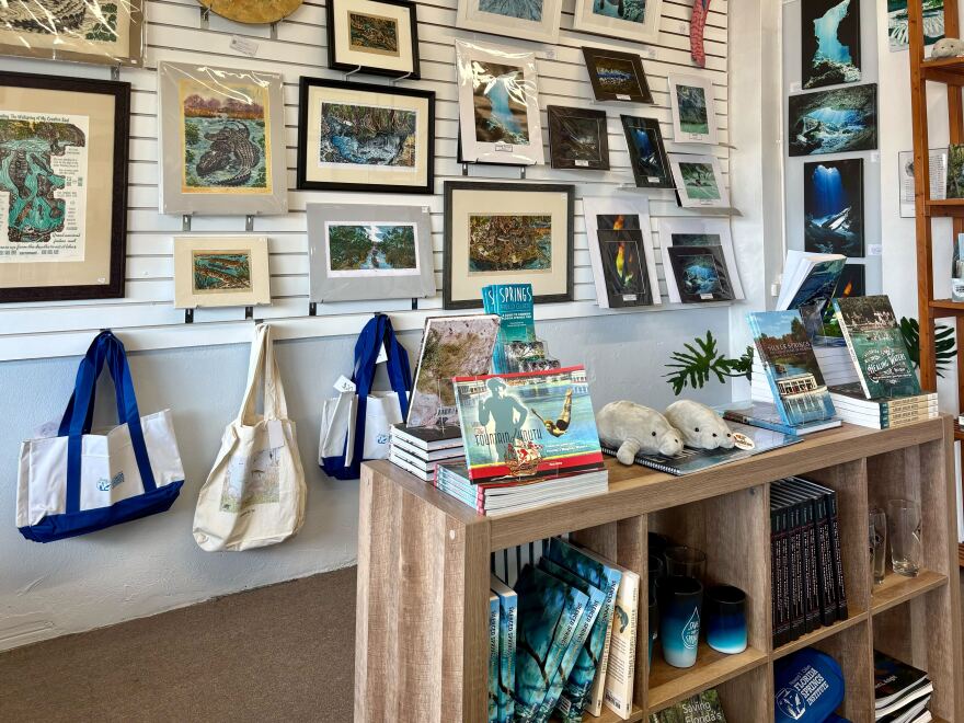 Manatee plush toys, educational guides and books are displayed for sale in the Florida Springs Institute welcome center gift shop. The shop also offers flyers and other educational materials about Florida springs. (Ornella Moreno/WUFT News)