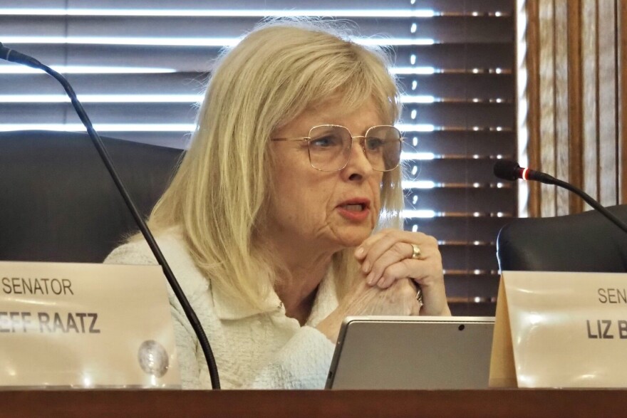 Sen. Liz Brown, R-Fort Wayne, speaks during an April 2025 committee meeting.