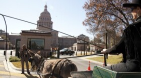 burro-protest