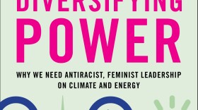 Bookcover for "Diversifying Power" by Jennie Stephens