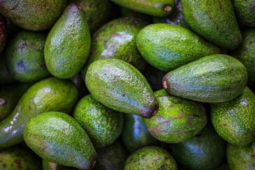 With the U.S. shutting down avocado imports from Mexico after a U.S. produce inspector there received a death threat, there could be shortages in the U.S., and opportunity for growers on the Central and South Coasts to fill part of that gap.