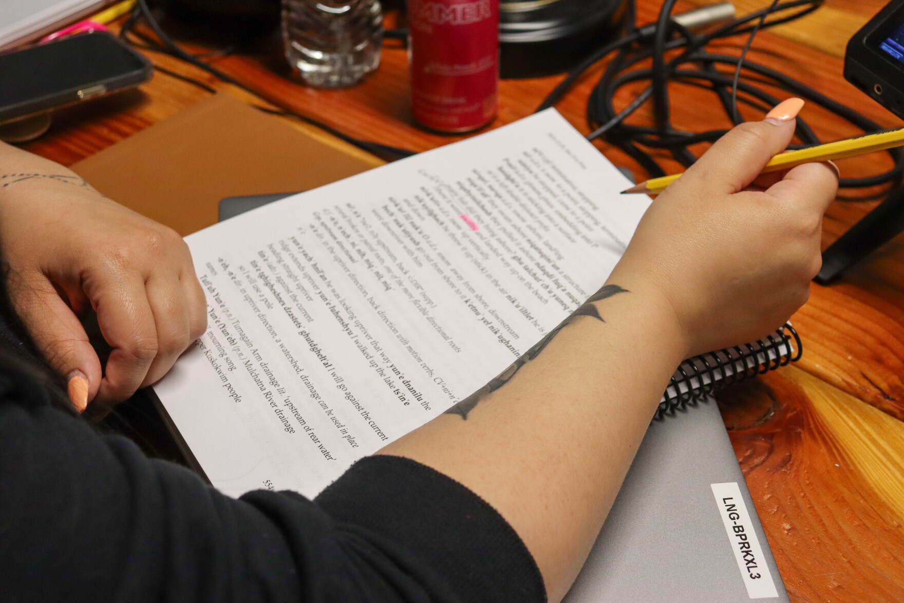 Kenaitze Tribe to launch Dena'ina language app