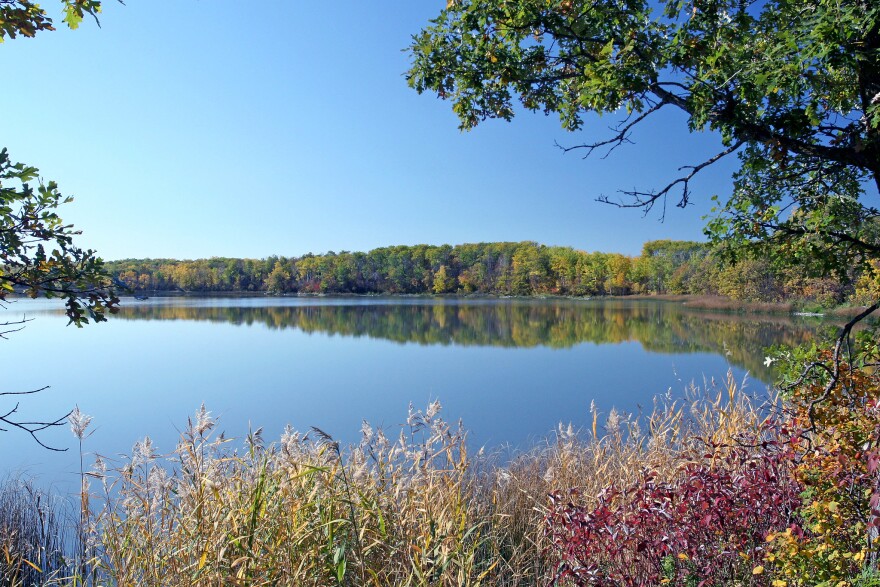 A view from a Waterfowl Production Area nestled in the Turtle Mountains just outside of Bottineau, North Dakota.