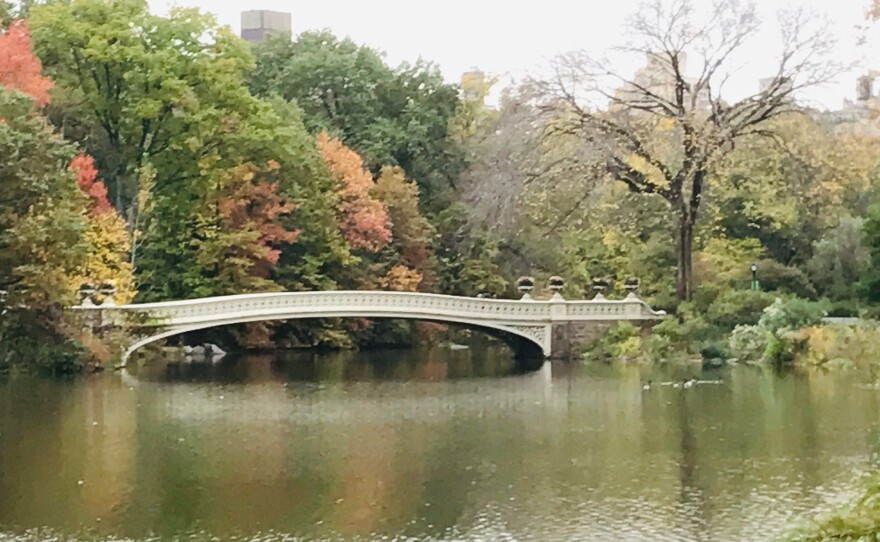 Bow Bridge in Autumn