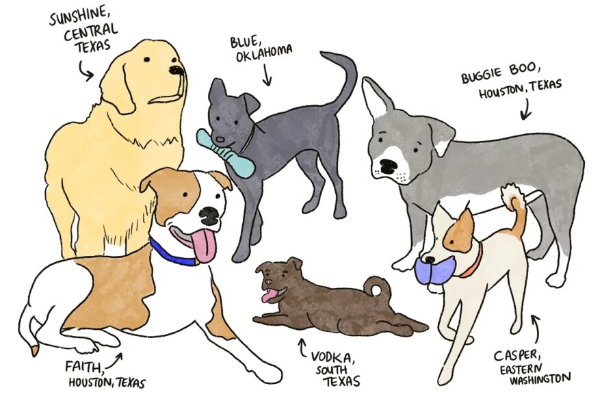 Six illustrated dogs are shown with their names and locations.