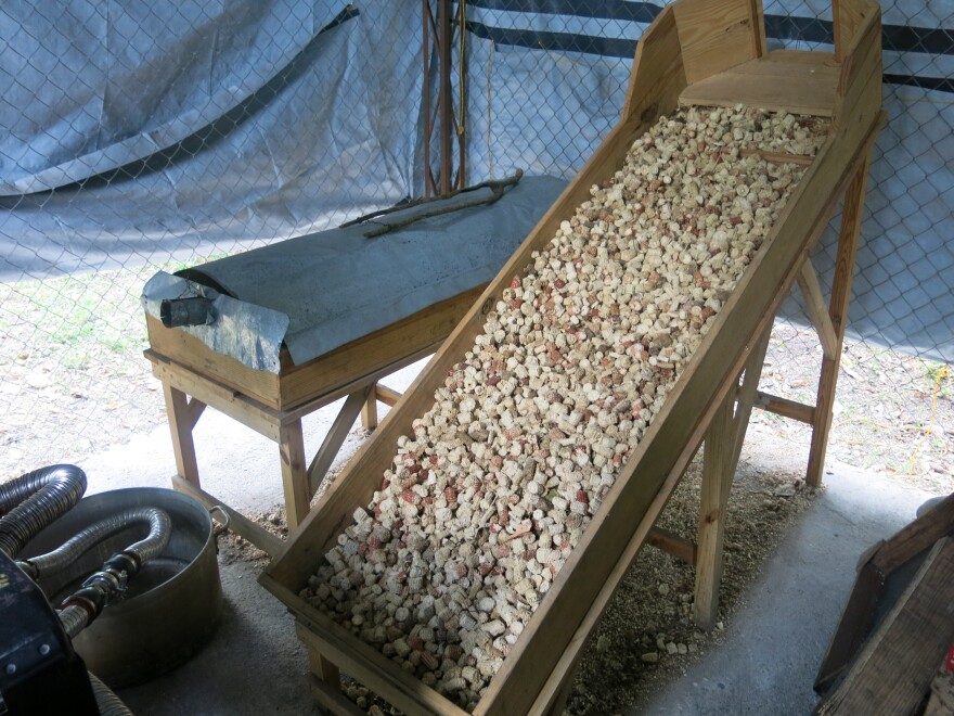The generator for electricity runs on corncobs purchased from area farmers.