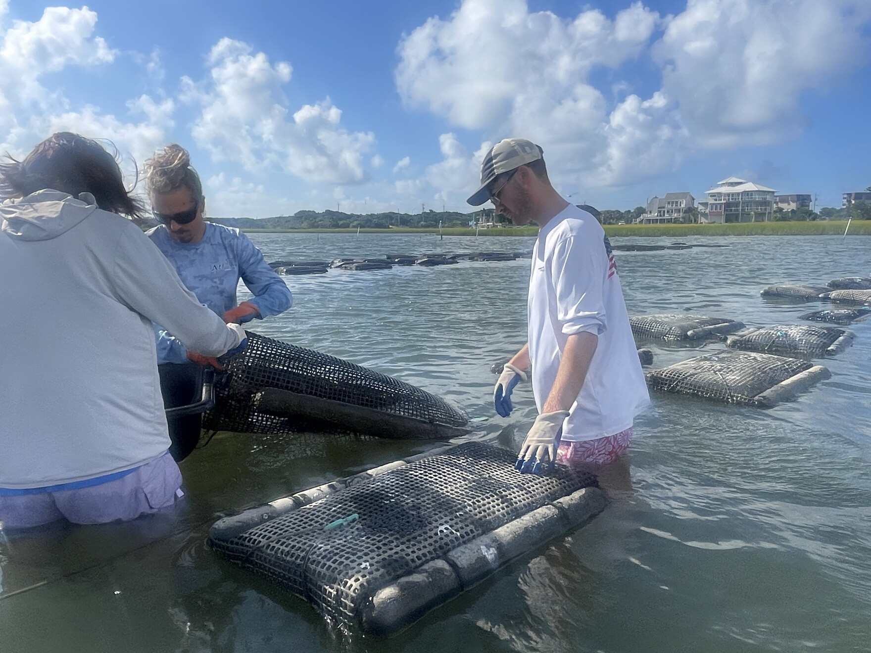 State opens applications for shellfish lease program