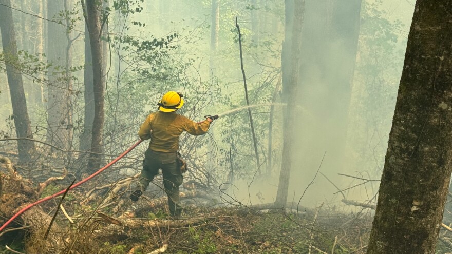 A firefighter puts out smoke at the Daniel Boone National Forest in McCreary County.