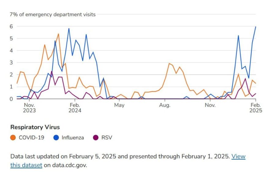 Influenza accounted for 6% of emergency room visits reported on Feb. 1 in Monroe, Brown, Greene and Owen counties.