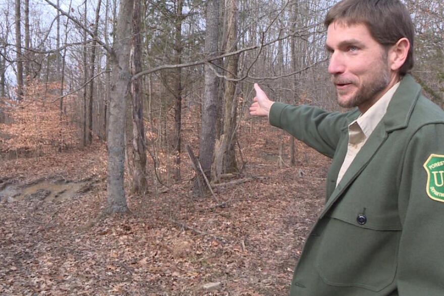 Hoosier National Forest Supervisor Mike Chaveas guestures toward some muddy ruts on the ground. He says off-road vehicles make their own trails in the forest and that causes damage.