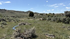 Two beaver dam analogs consisting of wood material stand along a stream.