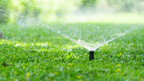 Automatic garden lawn sprinkler in action watering bright green grass