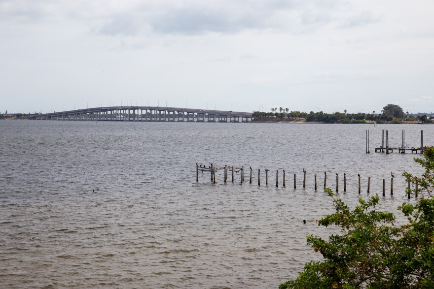 Highly-concentrated muck collects in deep “borrow pits,” dug out from the bottom of the Indian River Lagoon to build adjacent land and causeways crossing over the lagoon, like the Melbourne Causeway pictures here. Causeways are similar to bridges but are lower-lying, usually raised up on fill dirt to cross water or a marshy area.