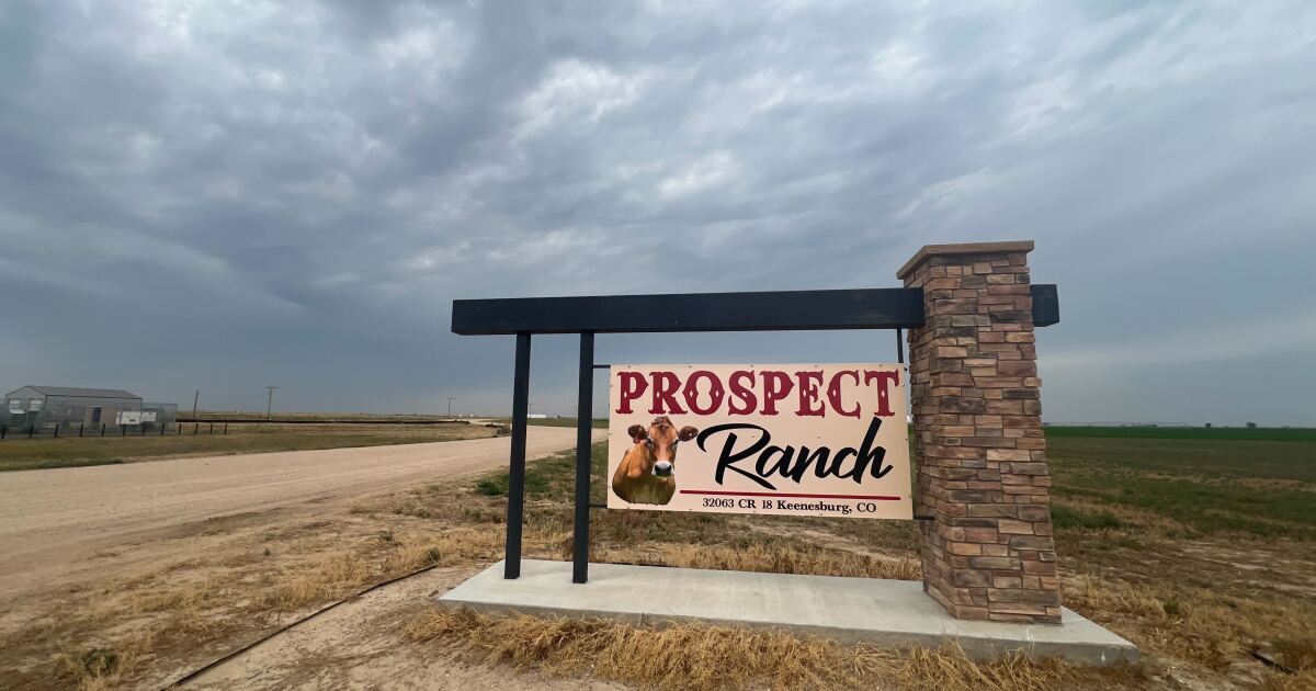 Local attorneys, workers' rights advocates react to fines following Prospect Valley Dairy deaths