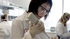 In the lab at Novartis, Diabetes Metabolism Research Group scientist Jie Zhang prepares samples for real-time PCR (Polymerize Chain Reaction). Novartis Institutes for BioMedical Research, Inc. is to announce a $4 million collaboration with Harvard, MIT and the Broad Institute to identify genetics of adult-onset diabetes. (Photo by Suzanne Kreiter/The Boston Globe via Getty Images)